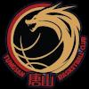 东山篮球