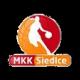 MKK谢伊科兹吉尔兹