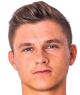 费德尔